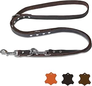 FREUDENTIER Alsterufer Collection Leather Dog Lead 2 m - Adjustable - Greased Leather Lead for Small, Medium and Large Dogs - Alsterufer Collection (Chocolate, 20 mm Wide)