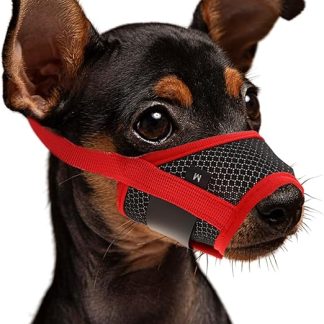 WLLHYF Muzzle for Dogs, Soft Nylon Muzzle, Breathable Muzzle for Pets, Antibarking, Biting and Chewing, Comfortable Soft Mesh Muzzle, Adjustable Strap for Small Dogs (Red, M)