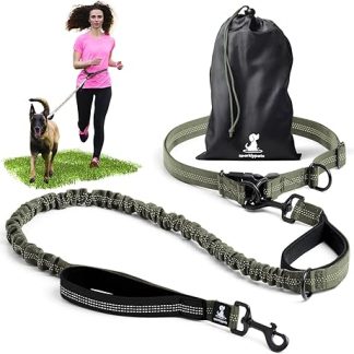 Jogging Lead for Dogs for Running, Jogging, Hiking, 2 in 1 Jogging Lead and Normal Dog Lead for Large and Medium Dogs with Double Handle, Belly Strap Dog Lead