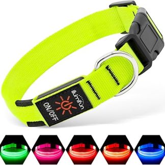 Illumifun Light Collar Dog Rechargeable LED Dog Collar Waterproof Luminous Collar for Small and Large Dogs, Dog Lights for Night Walks (Green, L)