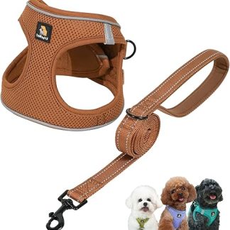 BELLA & PAL Dog Harness for Small Dogs with Lead, Step-in Harness, Made of Air Mesh, Anti-Pull, Reflective, Breathable Chest Harness, Puppy Harness, Cat Harness, Mocha, XXS
