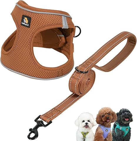 BELLA & PAL Dog Harness for Small Dogs with Lead, Step-in Harness, Made of Air Mesh, Anti-Pull, Reflective, Breathable Chest Harness, Puppy Harness, Cat Harness, Mocha, XXS
