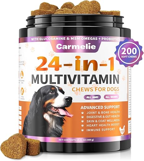24-in-1 Supplementary Snacks for Dogs - 200 Chew Sticks with Selected Ingredients such as Omega-3 - Supports Vitality & Daily Nutrition - Chicken Flavour