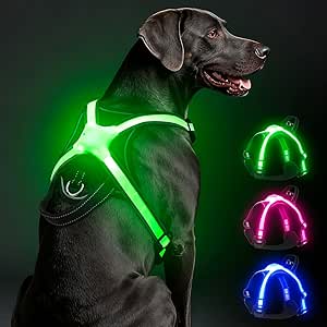 LED Luminous Dog Harness, Multicoloured Reflective Luminous Dog Harness for Night, USB-C Rechargeable with Battery Indicator, Adjustable No-Pull Harness for Safe Walks (L)