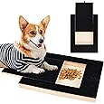Scratching Board for Dogs with Treat Box, 35 x 25 x 3 cm, Scratch Pad for Nails, Stress-Free Pet Nail File Board, Alternative Claw Grinder for Dogs, Nail Care