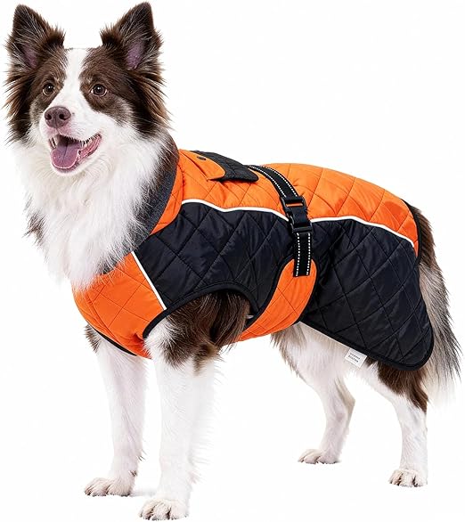 BECROWM Dog Coats with Reflective Design,Windproof & Waterproof Thickened Collar for Wind Protection Adjustable Buckle Warm Winter Jacket (Orange/Black, Medium(23~27in))