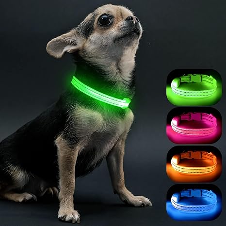 Visinite Luminous Dog Collar, Waterproof, Adjustable, USB Rechargeable LED Dog Collars, Glows in the Dark, Luminous Dog Collar Keeps Your Small Dog Visible and Safe, Green, S