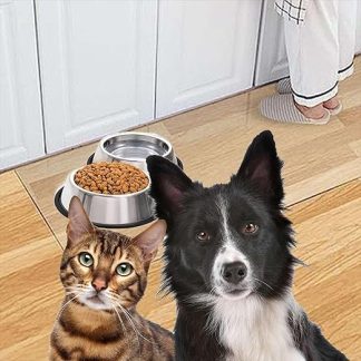 Artwelt Feeding Mat Film Transparent Floor Protection Mat Remanufactured Bowl Mat Available in Various Sizes for Cats or Dogs (40 cm x 60 cm)