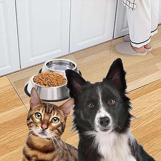 Artwelt Feeding Mat Film Transparent Floor Protection Mat Remanufactured Bowl Mat Available in Various Sizes for Cats or Dogs (40 cm x 60 cm)
