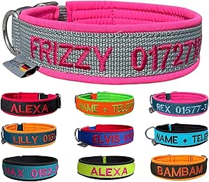 Personalised Dog Collar - Small and Large Dogs (XS - XXL) - Customisable - Collar Embroidered Name + Phone Number - Dog Collar Wide & Adjustable