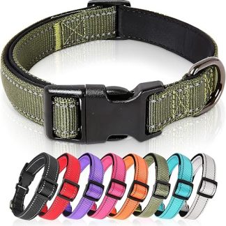 HEELE Dog Collar, Nylon Dog Collar, Reflective Dog Collar with Soft Neoprene, Padded for Puppies, Small, Medium, Large Dogs, Length Adjustment Range 34-52 cm, Green, M