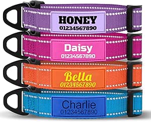 TagME Dog Collar Personalised with Name, Reflective Dog Collar with Soft Silicone ID Name Plate, 4 Adjustable Sizes for Small, Medium and Large Dogs, Steel D-Ring