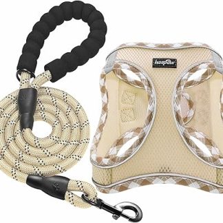 haapaw Dog Harness and Lead Set, No-Pull Adjustable Reflective Step-in Puppy Harness with Thick Padded Vest for Extra Small/Small/Medium Dogs