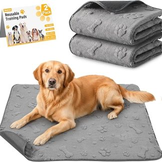 HezzLuv Washable Puppy Pads Pack of 2, Reusable Super Absorbent Dog PIPI Mats, Waterproof Non-Slip Training and Throwing Mats with Paw/Bone Pattern - 90 x 100 cm