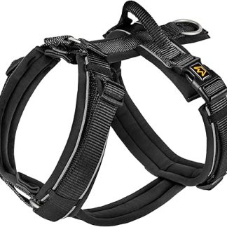 Rudelkönig Paola Dog Harness, Reflective Chest Harness with Handle, Medium Dog Harness in Y-Design, Adjustable Dog Harness, Medium Dogs