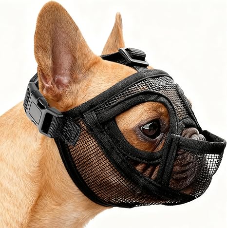 French Bulldog Muzzle Small Dog Muzzle Poison Bait Protection Dog Mesh Dog Muzzle Anti Biting Chewing Barking Dog Muzzle with Flattened Snout German (M)