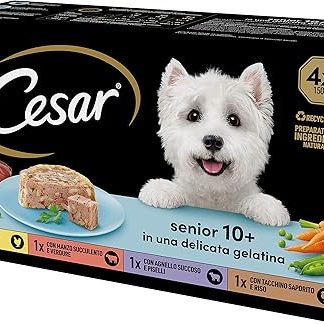 Cesar Senior 10+, Food for Older Dogs, Various Selection, 150g, 24 Bowls - 3600g