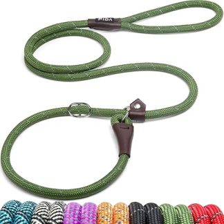 Fida Slip Lead, Dog Lead, 6ft, One Size, Slip On No Collar or Harness Needed, Durable and Weather Resistant Climbing Rope with Reflective Stitching (Green)