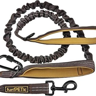 funPETic Elastic Dog Leash Tie On Two Handles Reflective Dog Leash for Large and Medium Dogs