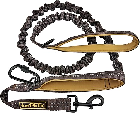 funPETic Elastic Dog Leash Tie On Two Handles Reflective Dog Leash for Large and Medium Dogs