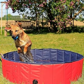 dibea PVC Dog Pool Swimming Pool for Dogs, Dog Bath, Water Pool for Dogs (Choice of Size), blue / red