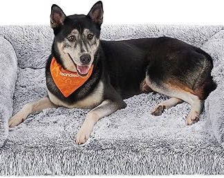 Feandrea FluffyHug PGW233G01V1 XL Dog Bed, Dog Mat for Medium and Large Dogs, Dog Sofa Convoluted Foam, Removable and Washable Cover, 106 x 76 x 19 cm, Ombre Grey