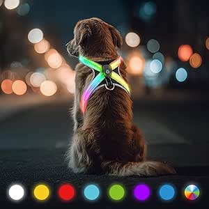LED Light Harness for Dogs - Rechargeable & Reflective Dog Harness, 3-Layer Air Mesh for Breathability & Comfort, Adjustable for Medium to Large Dogs, Night Safety for Walks