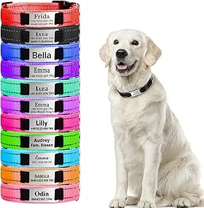 Personalised Dog Collars, Reflective Dog Collar with Name, Phone Number, Adjustable Collar with Name Plate, Personalised Gift