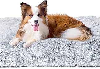 EHEYCIGA Fluffy Dog Bed, Medium Dogs, Dog Cushion, Large Dogs, Washable, Cuddly Non-Slip Dog Mat with Long Plush, Grey, 90 x 60 cm