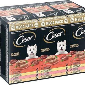 Cesar Megapack Classic Terrine - Dog Food in Bowl - 4 Varieties in Multipack - 24 x 150 g