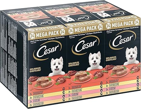 Cesar Megapack Classic Terrine - Dog Food in Bowl - 4 Varieties in Multipack - 24 x 150 g