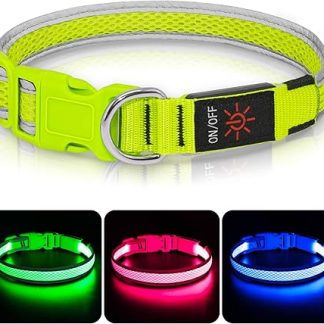 Light Collar Dog, Colaseeme LED Dog Light Collar, Waterproof Dog Collar, Luminous Dog Collar Rechargeable for Pet Night Walking Safety, Green, M