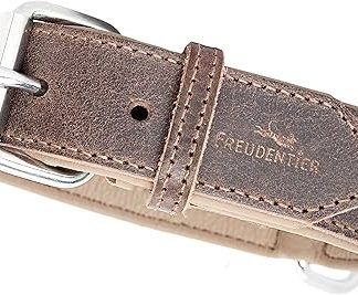 FREUDENTIER Amstelpark Collection Leather Dog Collar - Padded and Super Comfortable - Made in EU - Collar with Gift Bag - Amstelpark Collection (37-47 cm, Dark Chocolate)