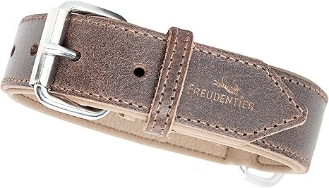 FREUDENTIER Amstelpark Collection Leather Dog Collar - Padded and Super Comfortable - Made in EU - Collar with Gift Bag - Amstelpark Collection (37-47 cm, Dark Chocolate)