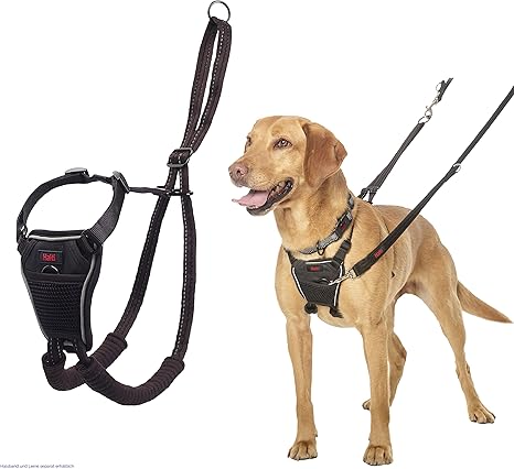 Halti No Pull Dog Harness, transparent