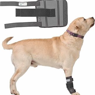 Nature Pet Dog Karpalg Joint Protective Wrist Support for Carp Olock Medium (S)