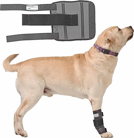 Nature Pet Dog Karpalg Joint Protective Wrist Support for Carp Olock Medium (S)