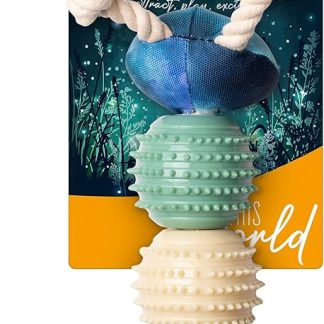 Vitakraft Galaxy Garden Caterpillar Toy for Dogs, Heavy Duty Dog Toy with Squeaker and Nub Balls (Pack of 1)