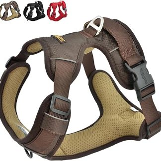 funPETic Essential Dog Harness, Anti-Pull Harness, Reflective, Padded and Breathable, Chest Harness for Medium and Large Dogs (L - Brown)