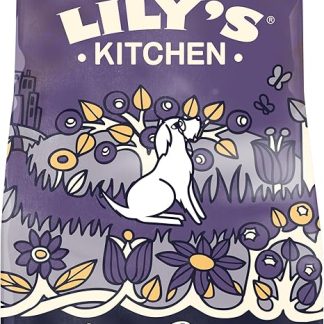 Lily's Kitchen Adult 8+ Senior Salmon and Trout Complete Dry Dog Food (2.5 kg)
