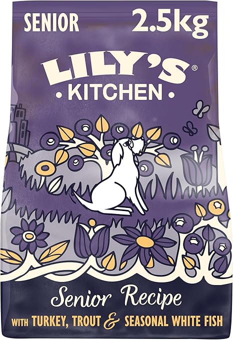 Lily's Kitchen Adult 8+ Senior Salmon and Trout Complete Dry Dog Food (2.5 kg)