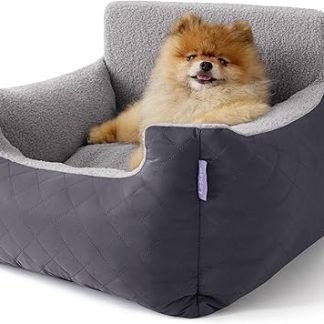 Lesure Dog Seat Car Small Dogs - Waterproof Dog Seat Car Rear Seat, Dog Car Seat for Small Dogs with Attachable Lead for Car Seat Dog, Dark Grey
