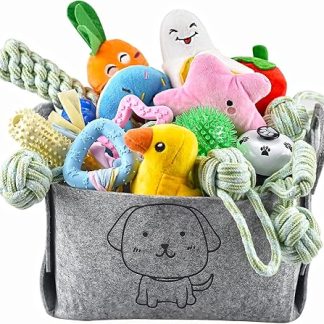 Ousiya 24 Pieces Puppy Toys Set, Puppy Teething Toys with Storage Box, Dog Toy and Squeaky Dog Toy, Chew Toy for Small and Medium Dogs, Play