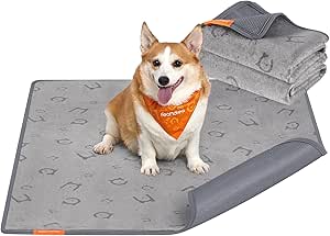 Feandrea Dog Blanket, Set of 2, Reusable Dog Mat, 122 x 91 cm, XL, Waterproof, Leakproof, Non-Slip, Absorbent for Dogs, Cats, Rabbits, Dove Grey PTD003G01