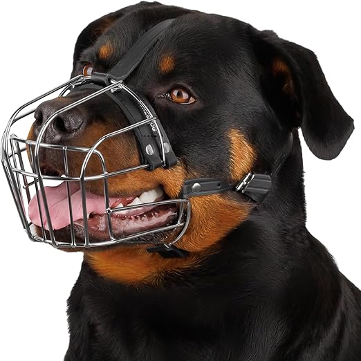 BRONZEDOG Dog Muzzle Adjustable Robust PVC/Metal Wire Basket for Large and Very Large Dogs with Leather Straps Breathable, Drinkable, Training, Prevents Biting (Rottweiler, Stainless Steel)