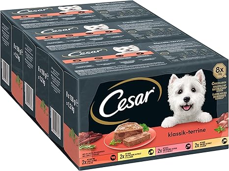 Cesar Wet Dog Food, Classic in Pie, Different Varieties