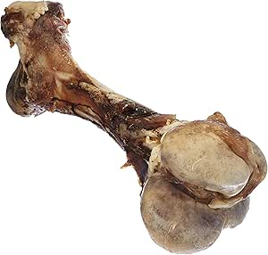 Nobby Cattle Bone, Large