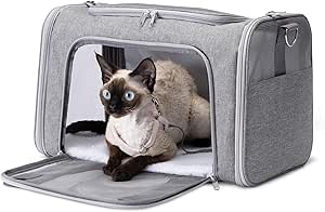Amazon Basics Cat Dog Carrier Bag with Adjustable Shoulder Strap, Soft, Airline Approved, Foldable and Portable Design, Mesh Ventilation