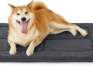 BEDSURE Washable Dog Mat, Medium Dogs - 89 x 56 cm, Dog Cushion, Medium Dogs with High Density Foam Filling, Sherpa Plush Washable Dog Mattress, Dark Grey