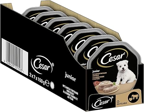 Cesar Junior Wet Dog Food for Puppies and Young Dogs <1 Year with Turkey & Veal in Pate, 14 Bowls (14 x 150 g), 2100 g